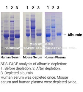 Minute血浆血清样品白蛋白去除剂 有效去除白蛋白 提高检测灵敏度
