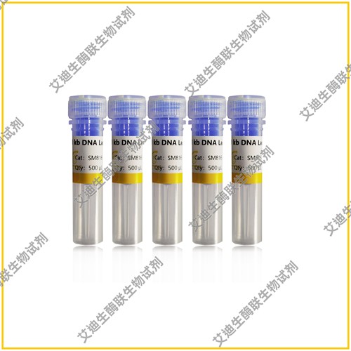 1kb DNA Ladder 独特研发技术/不易降解；条带大小精准，带型清晰