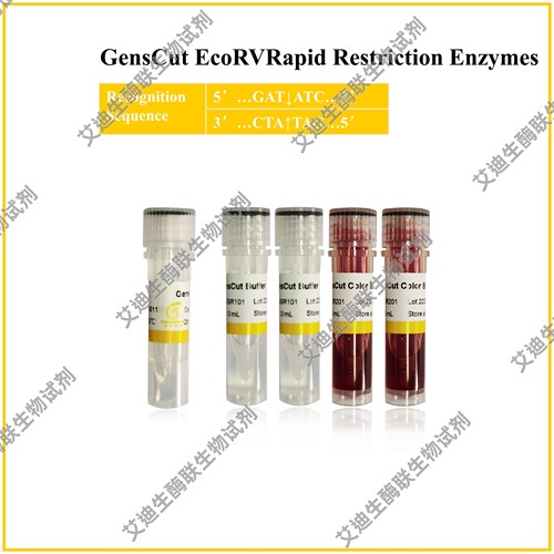 GensCut EcoRV 快速限制性内切酶,共用酶切缓冲体系,极低星号活性