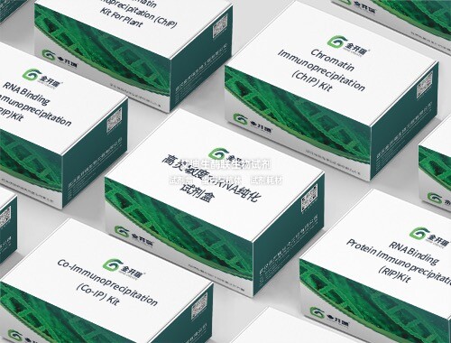 高灵敏度mRNA纯化试剂盒 从总RNA中快速分离出高纯度和完整的mRNA
