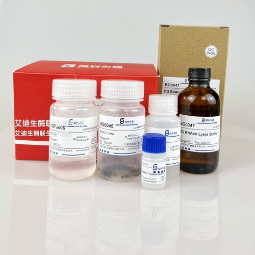 BGMG Fast RNAex Kit磁珠法RNA高效高质量提取总RNA包含小片段RNA