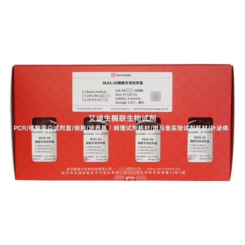 BEAS-2B细胞专用培养基 包含所需各种成分 可用于BEAS-2B细胞培养