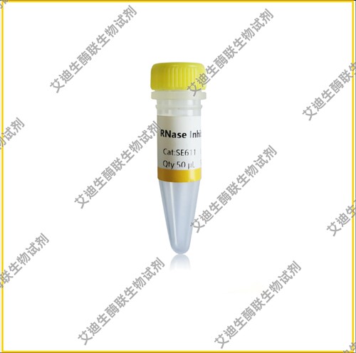 RNase Inhibitor重组鼠源RNase抑制剂,具备高抗氧化活性/热稳定性