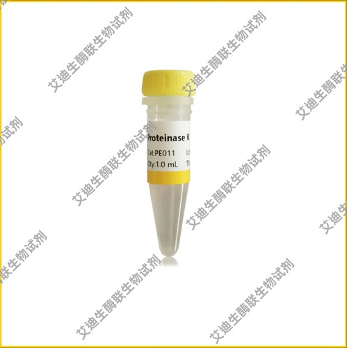 Proteinase K(20mg/mL)高效去除基因组/RNA提取等过程中的蛋白质