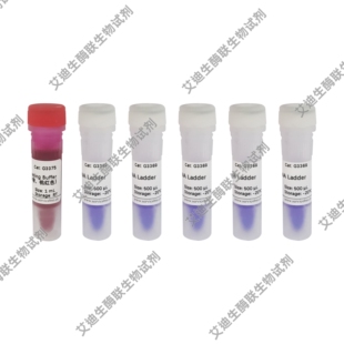 GN1000bp DNA Ladder 分子克隆构建常用 300~*800~*2000~10000bp