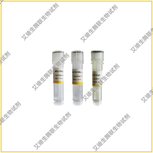 T4 DNA Ligase,T4 DNA连接酶,适用粘性末端平末端DNA片段快速连接