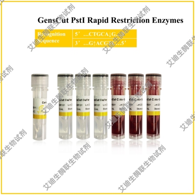 GensCut PstI 快速限制性内切酶，共用一种缓冲体系,极低星号活性