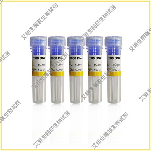 DL2000 DNA Marker独特研发技术/不易降解,条带大小精准/带型清晰