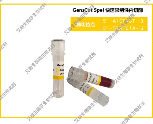GensCut SpeI 快速限制性内切酶，共用一种缓冲体系 极低星号活性
