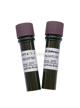 BOLAZ 2×SYBR Green qPCR Mix(With 100 × ROX)嵌合荧光定量PCR