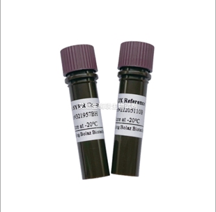 BOLAZ 2×SYBR Green qPCR Mix(With 100 × ROX)嵌合荧光定量PCR