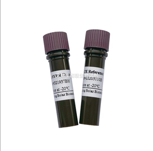 BOLAZ 2×SYBR Green qPCR Mix(With 100 × ROX)嵌合荧光定量PCR