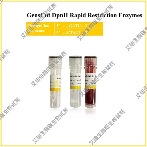 GensCut DpnII 快速限制性内切酶,共用酶切Buffer缓冲体系,高酶活