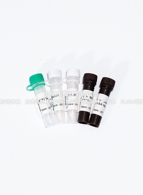 BIOG miRNA茎环染料法荧光定量PCR试剂盒,反应特异性高扩增效率高