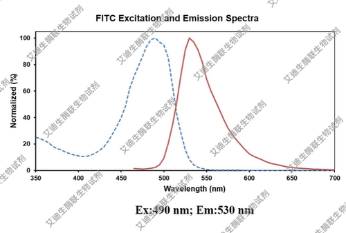 Elabscience推荐一抗FITC-抗小鼠CD3抗体[17A2] FITC-CD3流式抗体