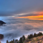 这是一家感情店素材一分钱1