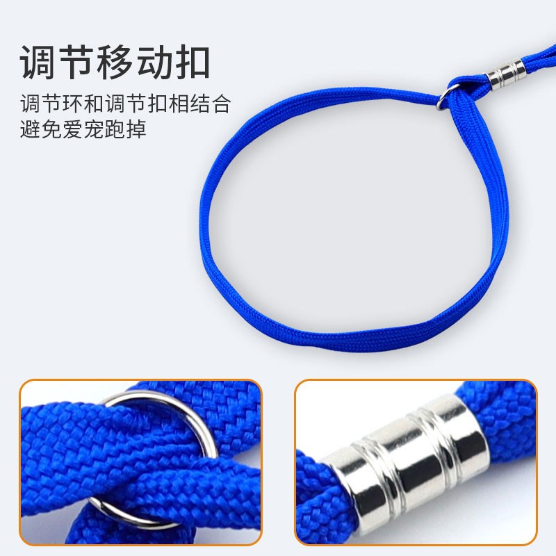 猫咪狗狗洗澡固定器宠物美容桌吊绳吸盘防挣脱固定绳剪毛栓狗神器