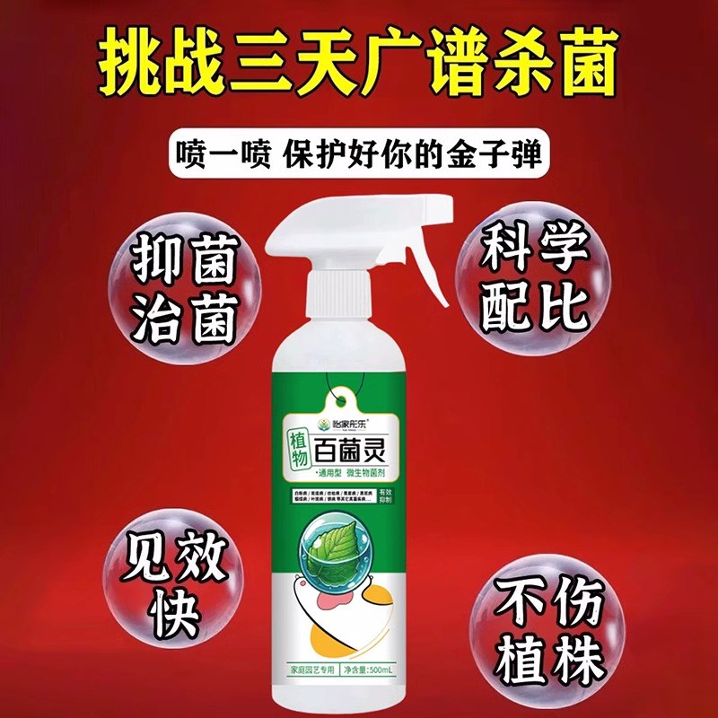 金弹子专用肥老桩营养液黄叶炭疽黑斑病专用杀菌剂盆栽杀虫喷剂