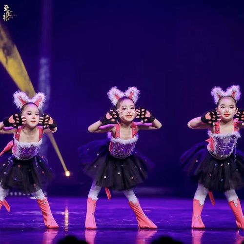 爱跳舞的小怪兽儿童小猫咪亮片蓬蓬纱裙演出服小花猫舞蹈表演服