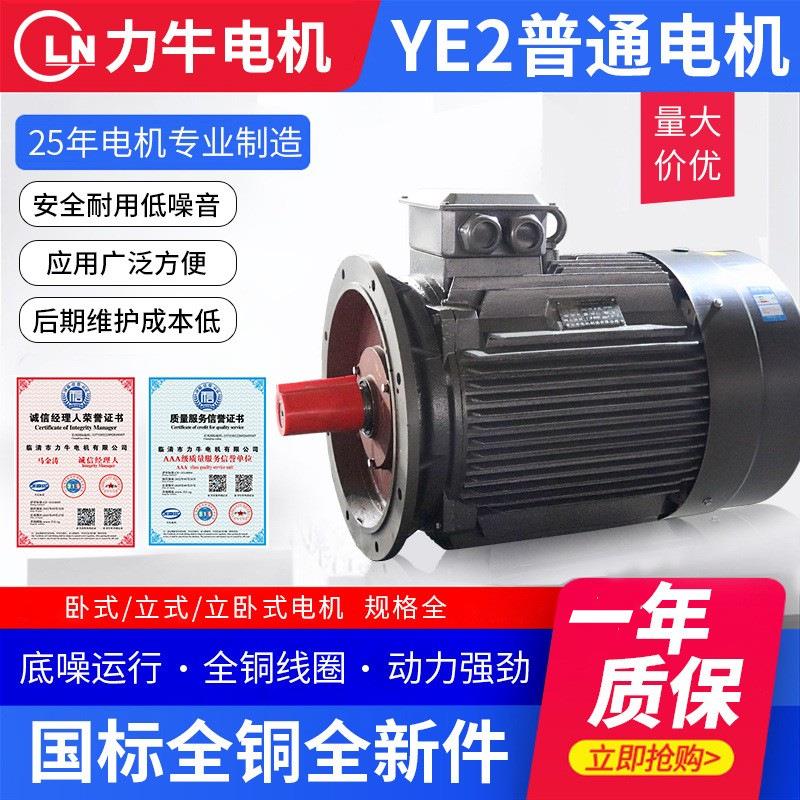 YE2三相异步电动机 YE2-160M1-8-4kw低噪音8级铜芯马达电机定制