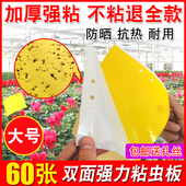 黄板 双面粘虫板诱虫板纸贴小飞虫沾果蝇粘板果园专用蔬菜大棚 包邮