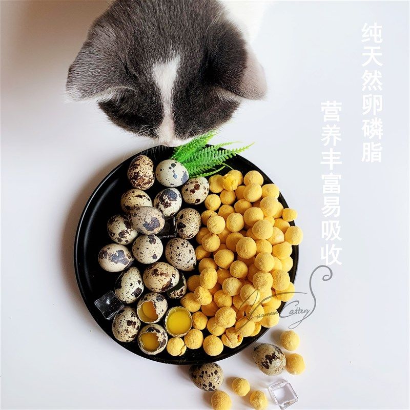 Cc鲜肉冻干鹌鹑蛋黄60g罐装 新品天然卵磷脂猫咪狗狗零食营养美毛,宠物/宠物食品及用品,猫零食罐,淘宝优惠券,粉丝福利购,淘宝优惠卷