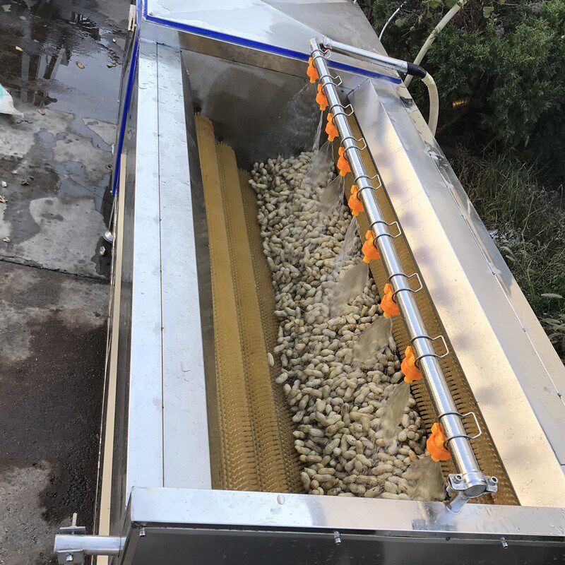 花生清洗设备 全自动喷淋花生果清D洗机器 毛刷滚动花生清洗去泥