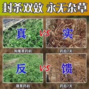 芝麻地除草专用剂大豆花生苗后除草烂根剂一扫R光三年不长草环泰