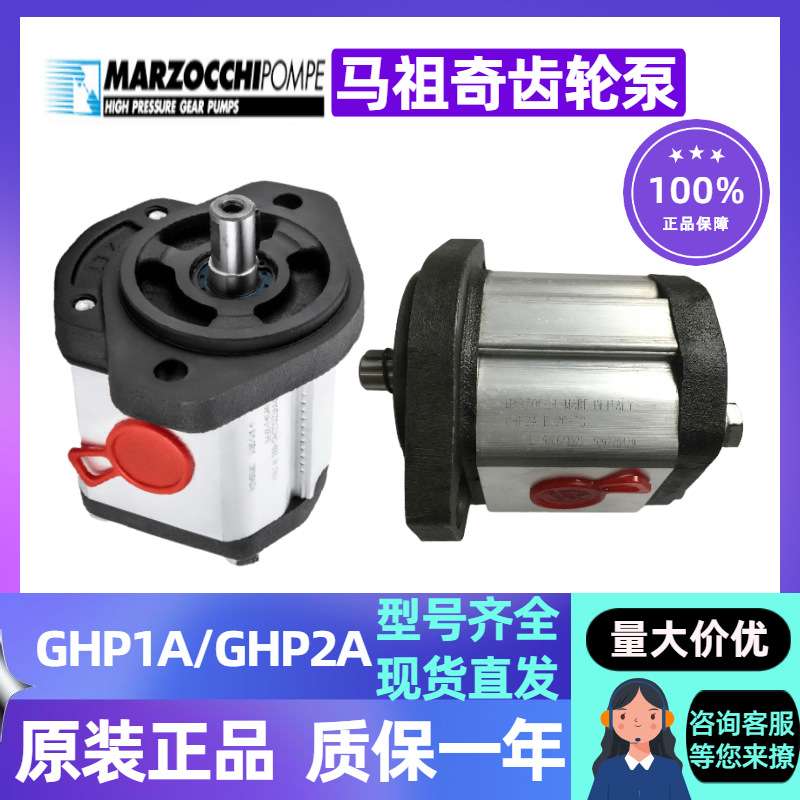 GHP2A-D-6/9/10/12/13/16/20/22/25/30/34/37/40/50-FG马祖奇油泵