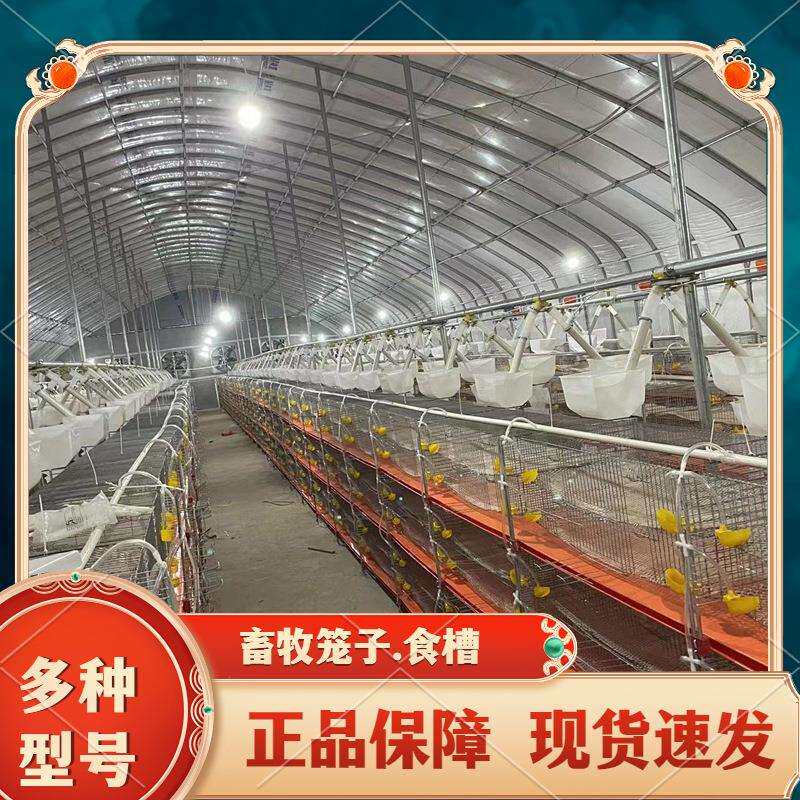 层叠现代化鹌鹑笼子阶梯式饲养笼全自动喂水养殖设备6层立式笼子