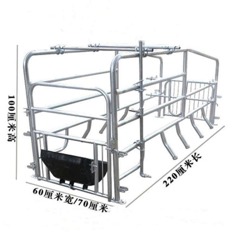 重庆母猪产床 落地式母猪产床 单体体母猪产床 镀锌产床