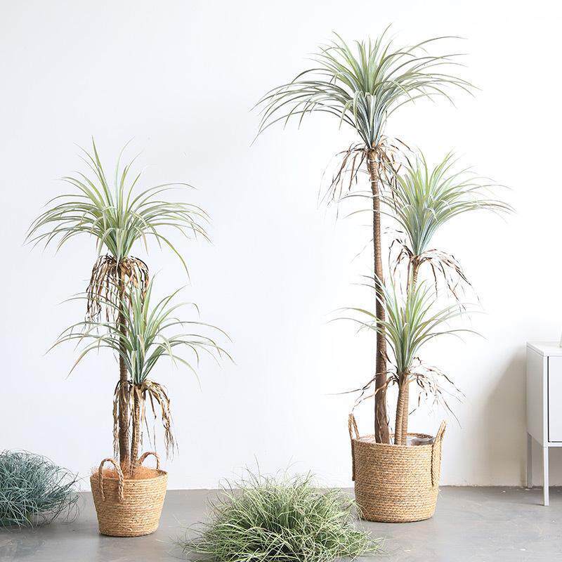 仿真绿植丝兰树商场室内装饰用假植物橱窗造热带景观沙生植物盆栽