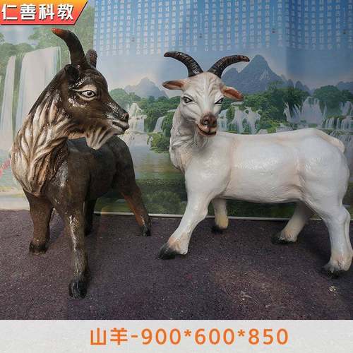 生物园仿真动物直销生物教学器材景观雕哺乳动物山羊教学模型