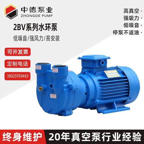 东莞直销水环式真空泵2BV2060工业水循环液环式真空泵