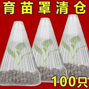 重复使用加厚方形植物透明钟罩大棚温室免受鸟类霜冻伤害育苗保护