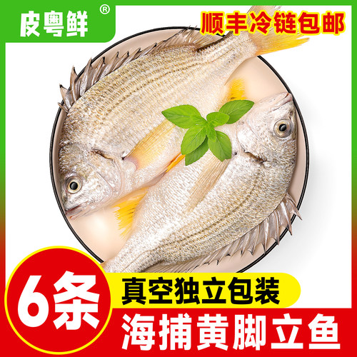 【顺丰冷链包邮】黄脚立广东阳江特产海鲜水产黄翅腊送礼