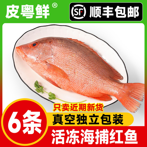 顺丰冷链阳江海捕大红鱼包邮