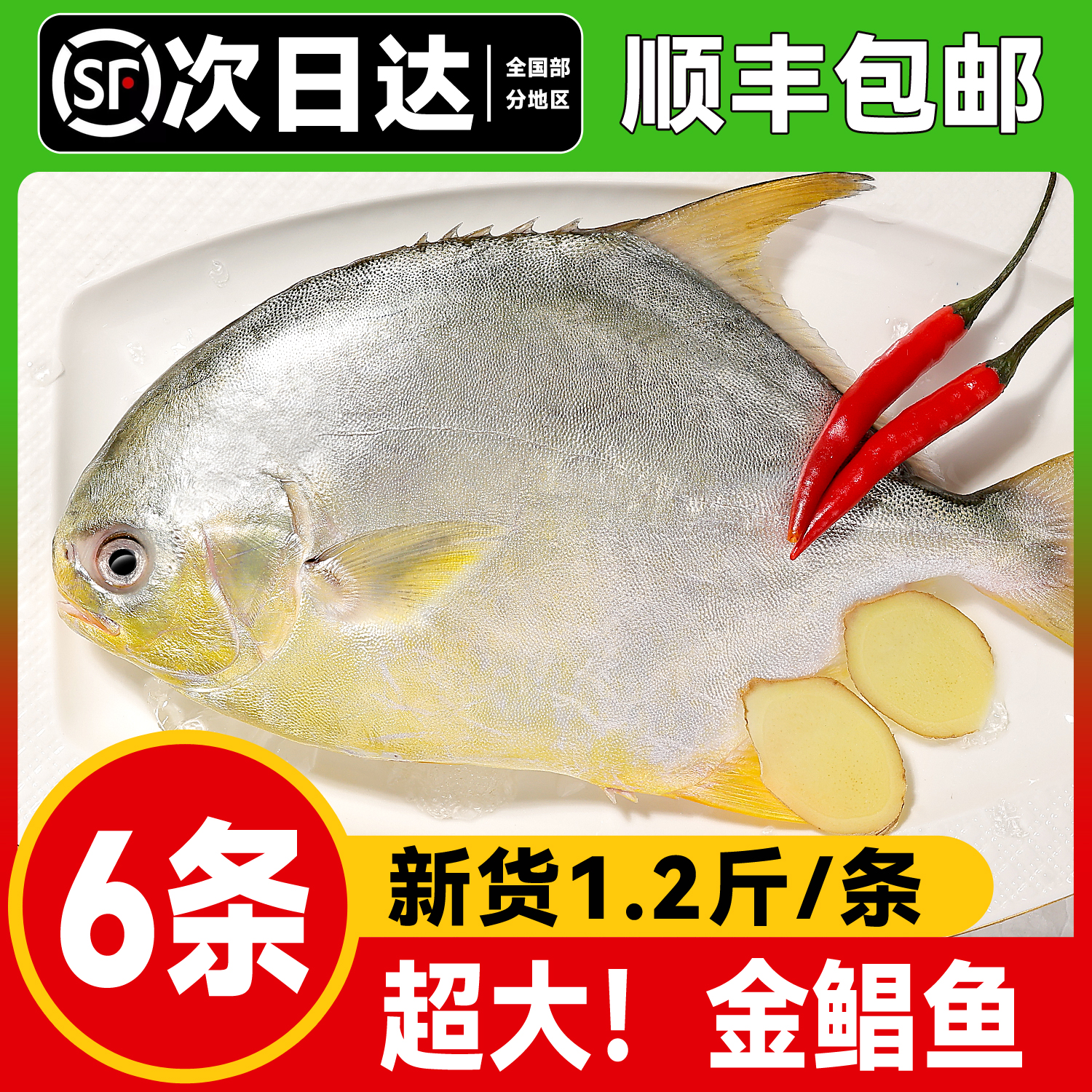 【顺丰冷链包邮】金鲳鱼广东特产新鲜海鲜金昌鱼送礼