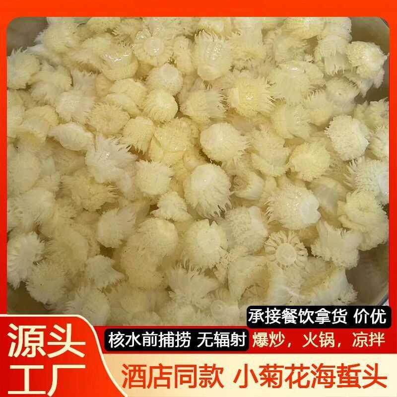 正宗小菊花海蜇头高端酒店会所非即食海蜇花凉拌食用水母400g商用