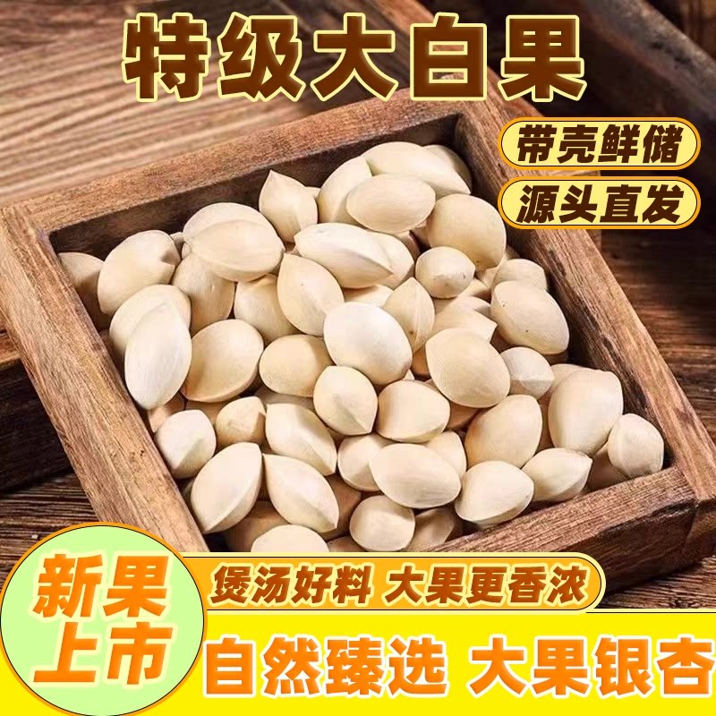 精选生银杏果新鲜特级银杏树大果当年鲜白果银杏果生白果新鲜白果