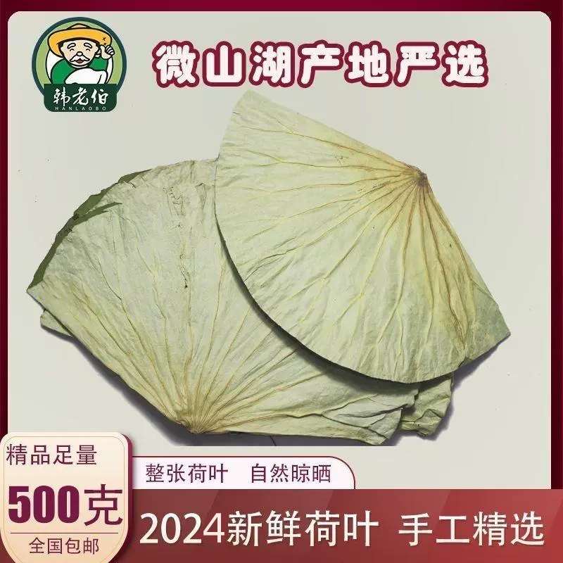 微山湖干荷叶整张500克荷叶鸡糯米鸡荷叶茶2024新鲜大张莲藕叶