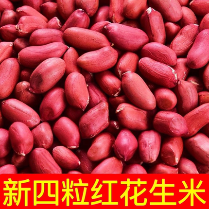 2024年红皮花生米新货小粒生花生仁农家四粒红花生米红衣花生米仁