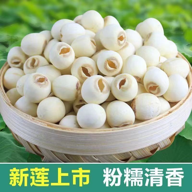 带芯白莲子干货原色无硫农家自产新鲜莲子非无芯野生特级湖南特产