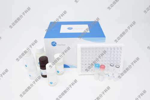 FineTest大鼠白细胞介素10(IL-10)ELISA试剂盒 双抗体夹心ELISA法