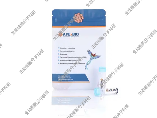APExBIO Taq DNA Ligase 耐高温连接酶 用于PCR扩增/基因组测序