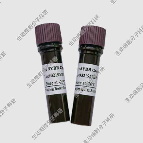 BOLAZ  2×SYBR Green qPCR预混液(无Rox)高灵敏度荧光法qPCR检测