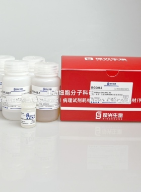 BGMG血清、血浆、全血RNA/DNA共提取试剂盒,磁珠法,高效富集核酸