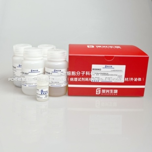 DNA共提取试剂盒 BGMG血清 血浆 全血RNA 高效富集核酸 磁珠法