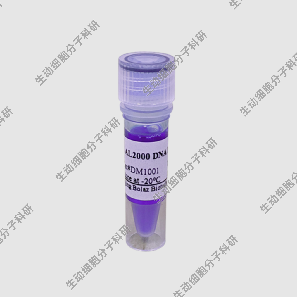 BOLAZ AL2000 DNA Marker(100rxns)含1×loading Buffer的DNA溶液图片