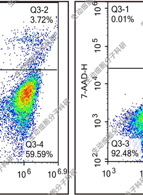 Annexin V-PE/7-AAD凋亡检测试剂盒，检测悬浮/贴壁细胞凋亡情况